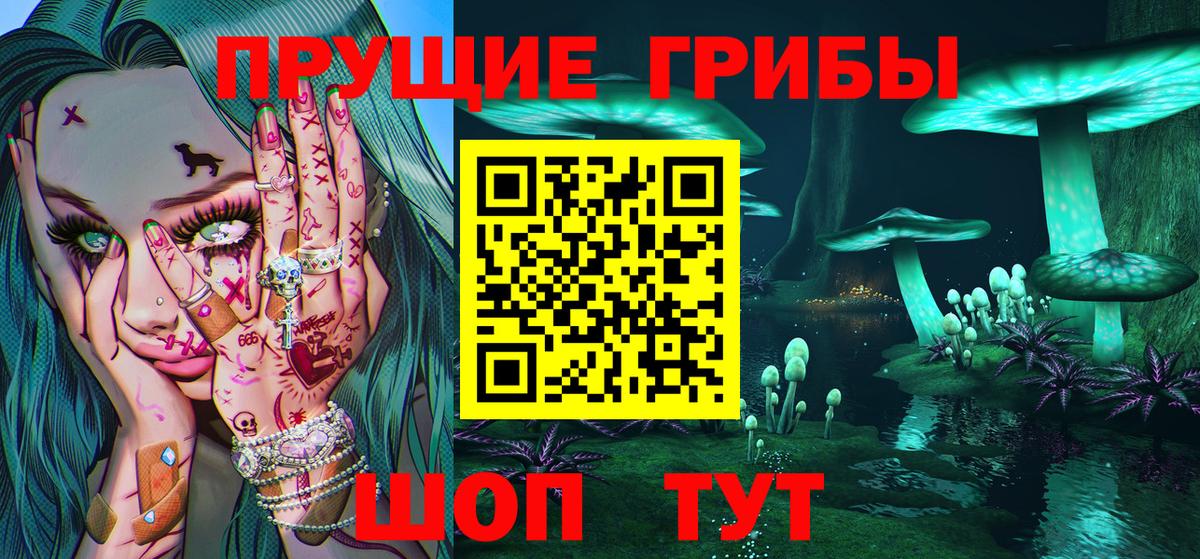 Псилоцибиновые грибы GOLDEN TEACHER Топки
