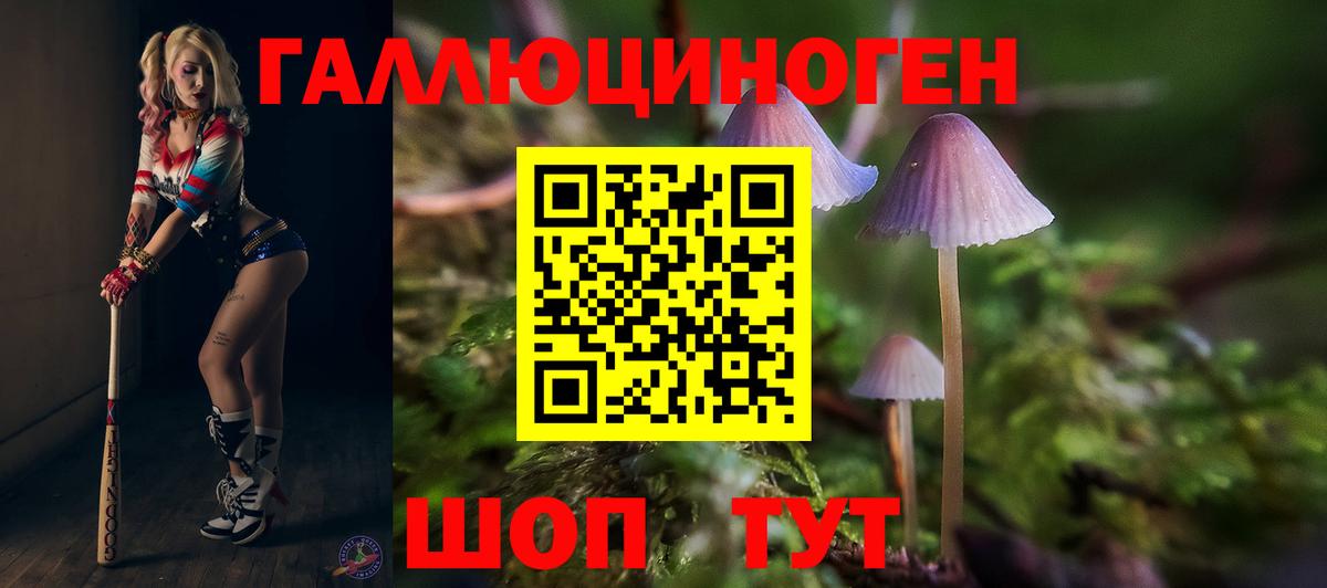 купить наркотики сайты  Галлюциногенные грибы Cubensis  Вход с VPN  Галлюциногенные грибы прущие грибы  Топки 